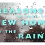 New Home Know It All FOR SALE New Home Know It All katy-new-construction-in-the-rain-150x150 FOR SALE